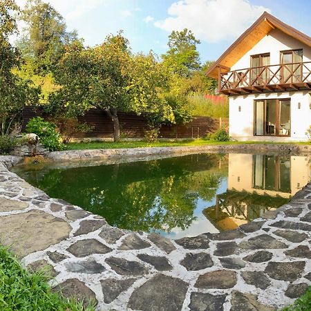 Вілла Бовч Yaremche Dış mekan fotoğraf